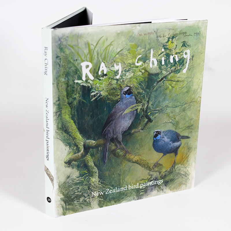 Ray Ching – New Zealand Bird Paintings